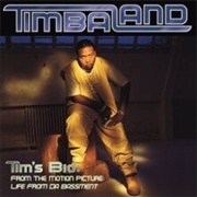 Timbaland - Tim's Bio: Life From Da Bassment