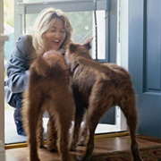 Welcomes You at the Door