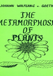 The Metamorphosis of Plants (Goethe)