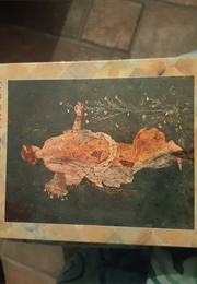 De Laatste Vrouw (Rosita Steenbeek)