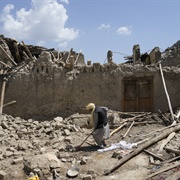 Survive a Natural Disaster