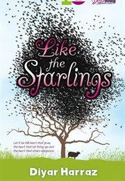 Like the Starlings (Diyar Harraz)