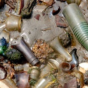 Dead Horse Bay (Permanently Closed)