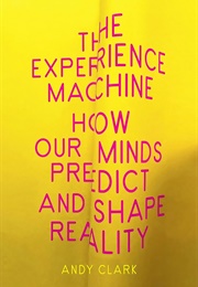 The Experience Machine: How Our Minds Predict and Shape Reality (Andy Clark)