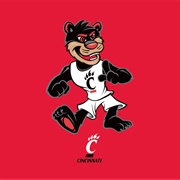 Cincinatti Bearcats
