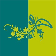 Teal / Chartreuse