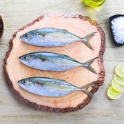 Indian MacKerel