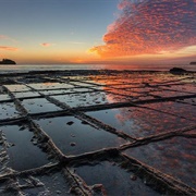 Eaglehawk Neck Tessellated Pavement
