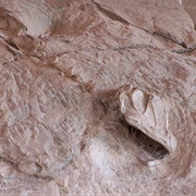 Dinosaur National Monument, USA