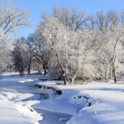 Chionophobia - The Fear of Snow