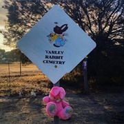 Rabbit Cemetery