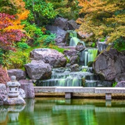 Kyoto Garden