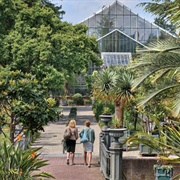 Hortus Botanicus, Leiden, the Netherlands