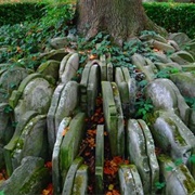 The Hardy Tree (Permanently Closed)