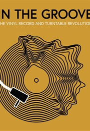 In the Groove: The Vinyl Record and Turntable Revolution (Gillian G. Gaar)