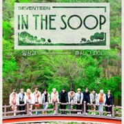 Seventeen in the Soop
