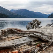 Route of the Seven Lakes, Patagonia, Argentina