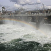 Hiram M. Chittenden Locks