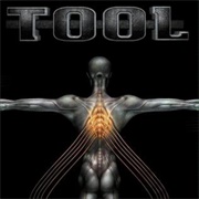 Salival - Tool