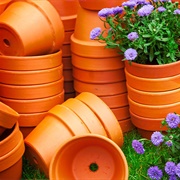 Flower Pots