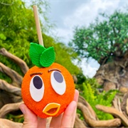 Orange Bird Caramel Apple