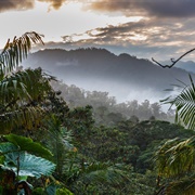 Santa Lucia Cloud Forest, Ecuador
