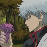 73. Think for a Minute Now, Do Matsutake Mushrooms Really Taste All That Good?