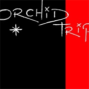 Orchid Trip – Orchid Trip