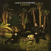 Nothing Lasts Forever - Echo & the Bunnymen