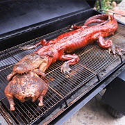 Roasted American Alligator