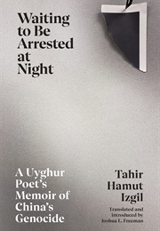 Waiting to Be Arrested at Night (Izgil)