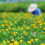 Takase (Only Yesterday)