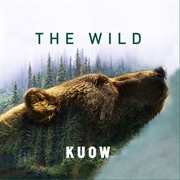 The Wild