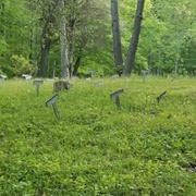 Old Letchworth Village Cemetery