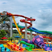 Wild Wild Wet, Singapore