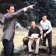 Don't Miss a Good Bet