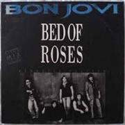 Bed of Roses