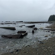 Wreck of the SS Valencia
