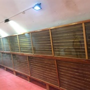 World's Longest Cuban Cigar