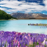 Lake Tekapo, New Zealand