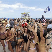 Spring Break in Miami