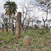 The Gedeo Cultural Landscape