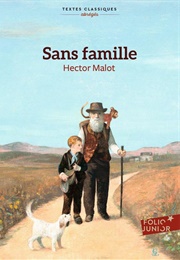 Sans Famille (Hector Malot)