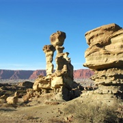 Monte Desert, Argentina