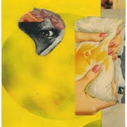 Robert Pollard - Full Sun