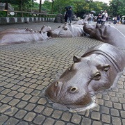 Hippo Square, Taiwan
