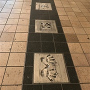 Cannes Path of the Stars, France