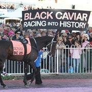 Black Caviar