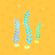 Lucent Seaweed