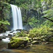 Daintree Rainforest, Australia